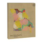 Missouri state map  Canvas Print Gallery Image 6