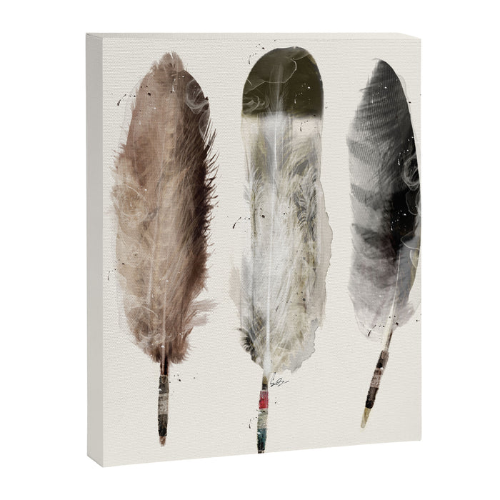 nature feathers Canvas Print Gallery Image 1