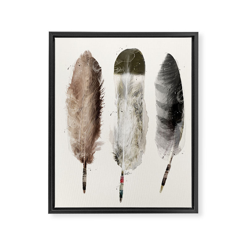 nature feathers Framed Canvas Print Gallery Image 8