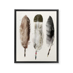 nature feathers Framed Canvas Print Gallery Image 8