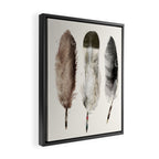 nature feathers Framed Canvas Print Gallery Image 2
