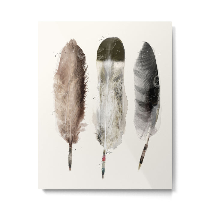 nature feathers Metal Print Gallery Image 1