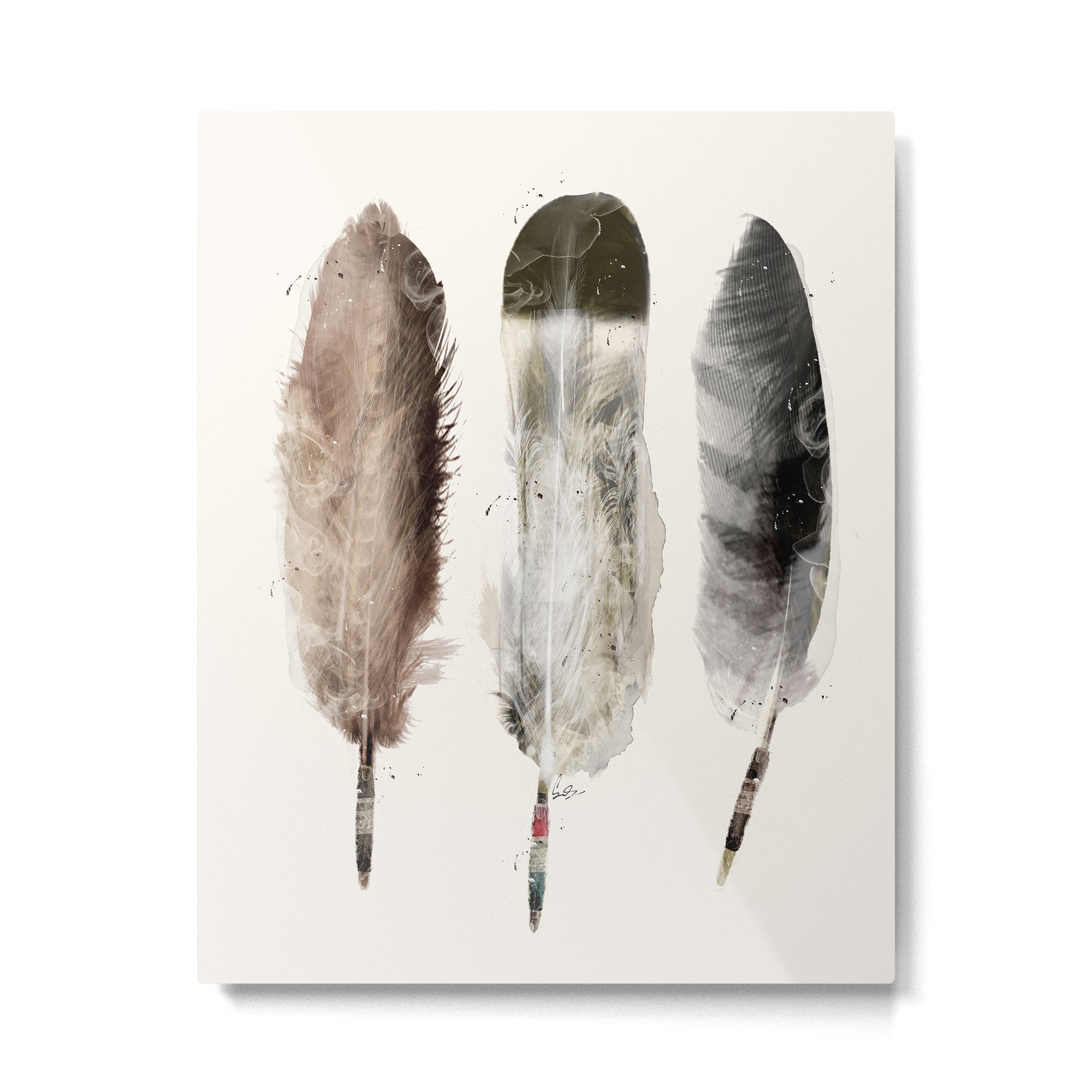 nature feathers Metal Print Gallery Image 6