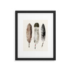 nature feathers Framed Art Print Gallery Image 6