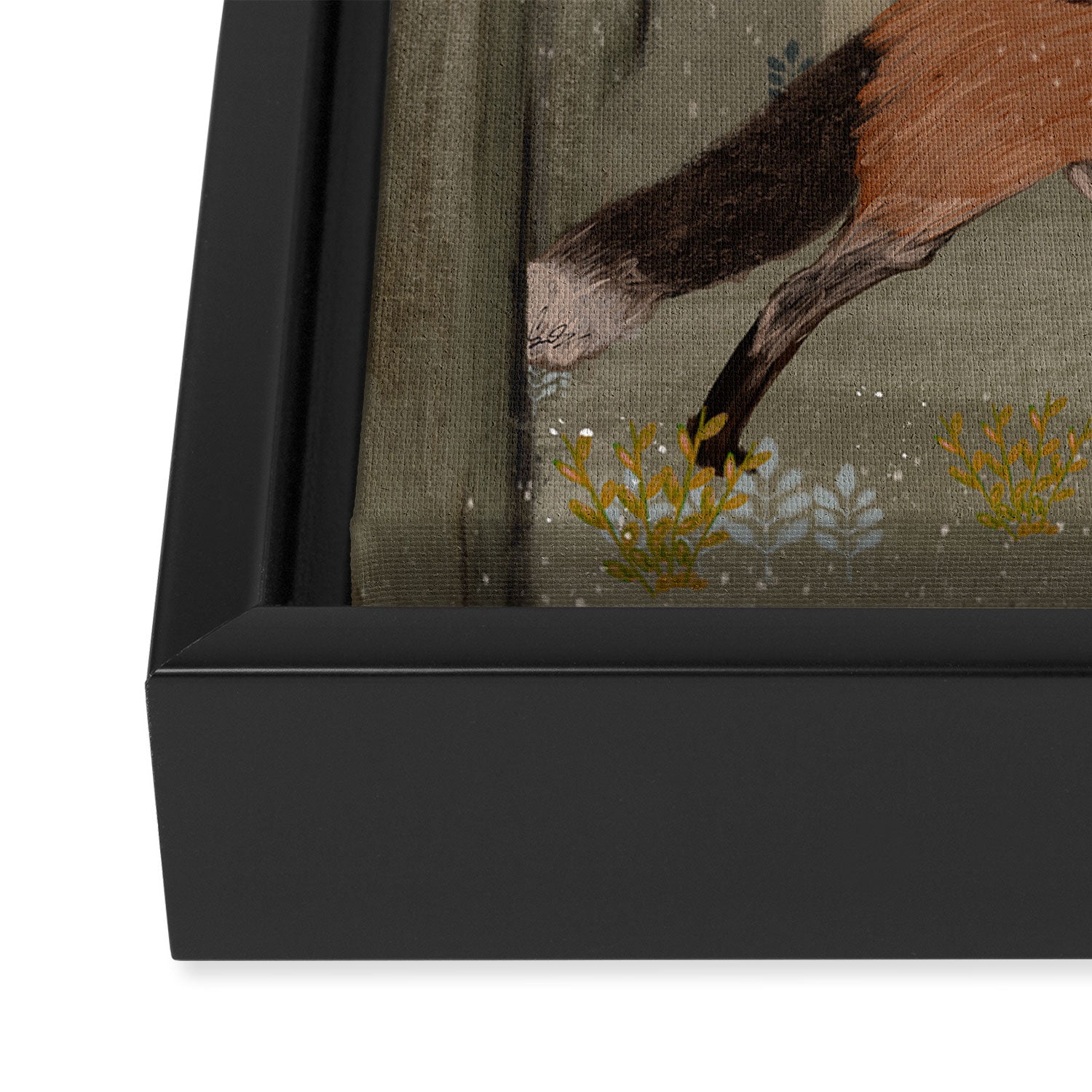 the amber fox Framed Canvas Print Gallery Image 3