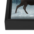 the elder moose Framed Canvas Print Gallery Image 3