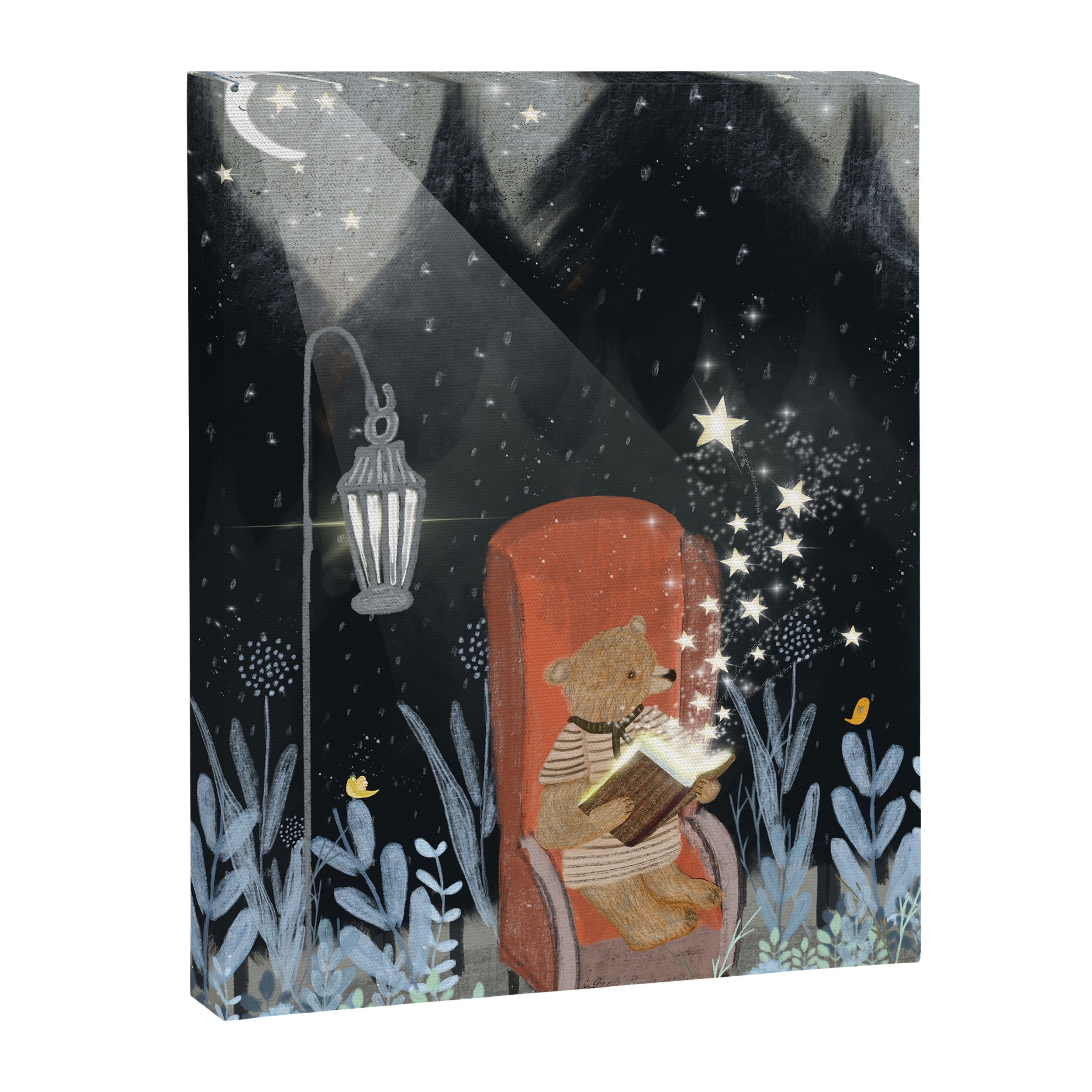 the little book of stars Canvas Print Gallery Image 8