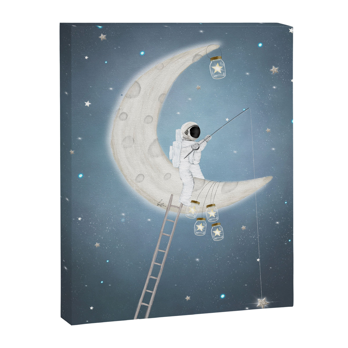 the star collector Canvas Print Gallery Image 6
