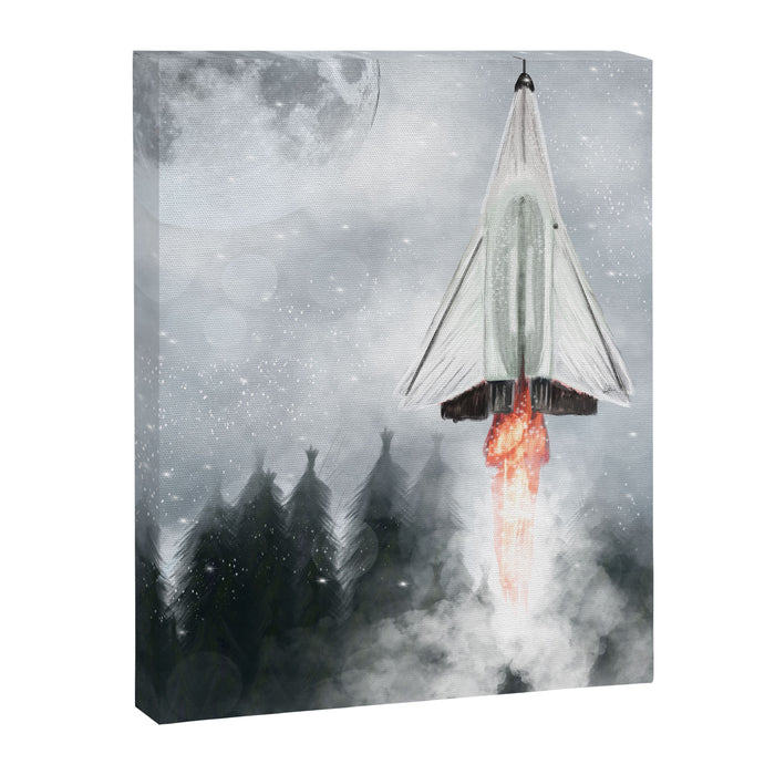 we have lift off Canvas Print Gallery Image 1