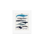 whales Art Print Gallery Image 1