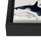 whales Framed Canvas Print Gallery Image 3