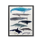 whales Framed Canvas Print Gallery Image 8