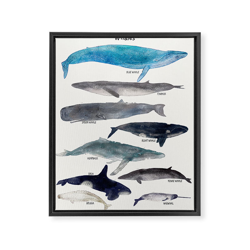 whales Framed Canvas Print Gallery Image 8