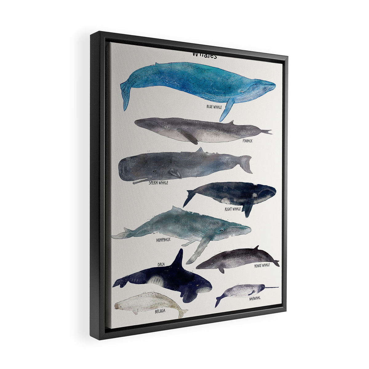 whales Framed Canvas Print Gallery Image 2