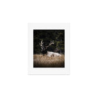 Two Elk in the Canadian Rocky Mountains Art Print Gallery Image 1