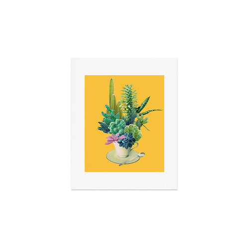 Arid Garden Art Print Gallery Image 1