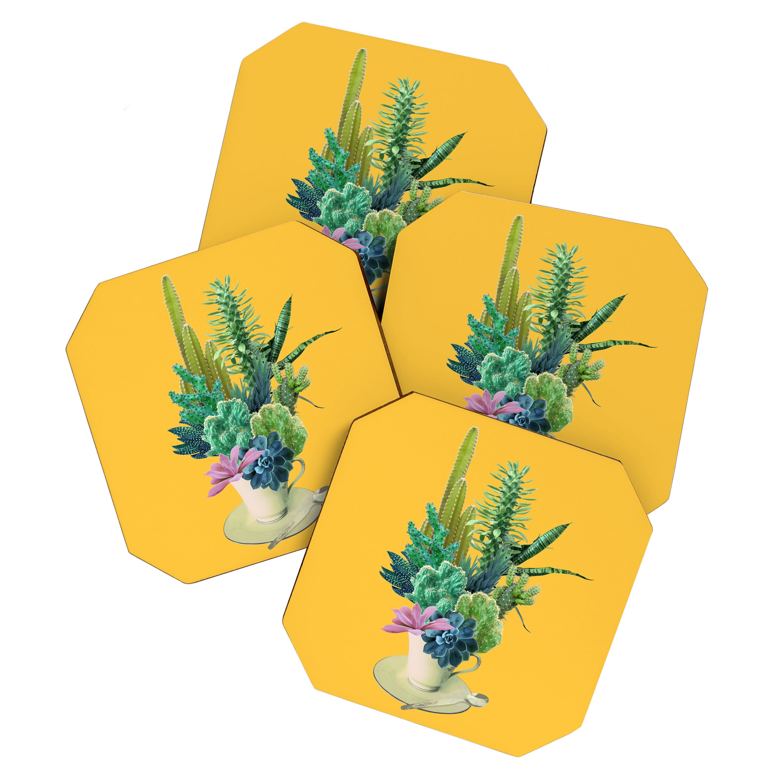 Arid garden Coaster Gallery Image 1