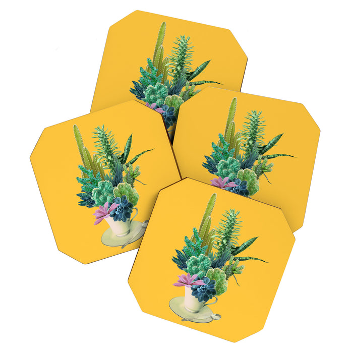 Arid garden Coaster Gallery Image 1