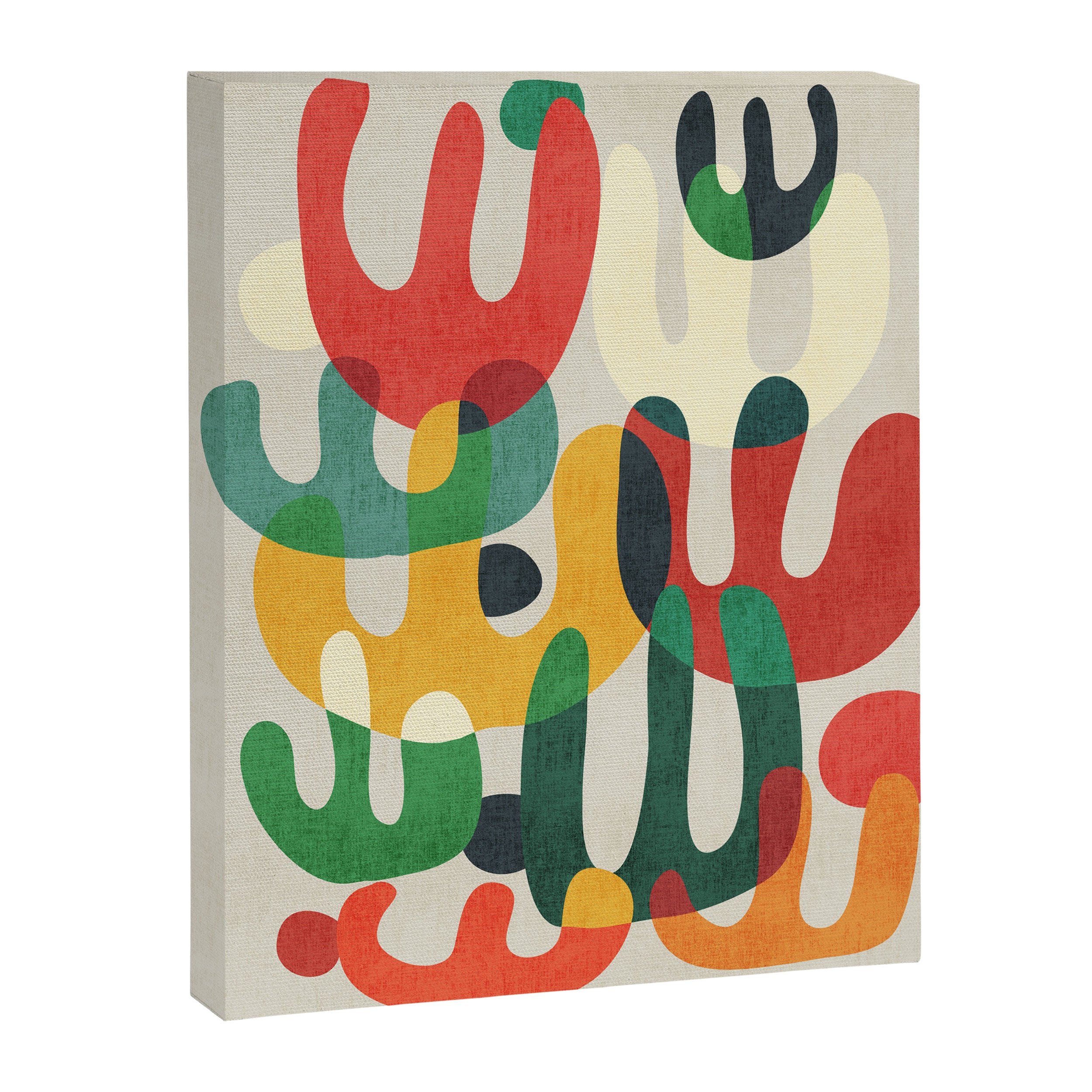 Cactus Canvas Print Gallery Image 6