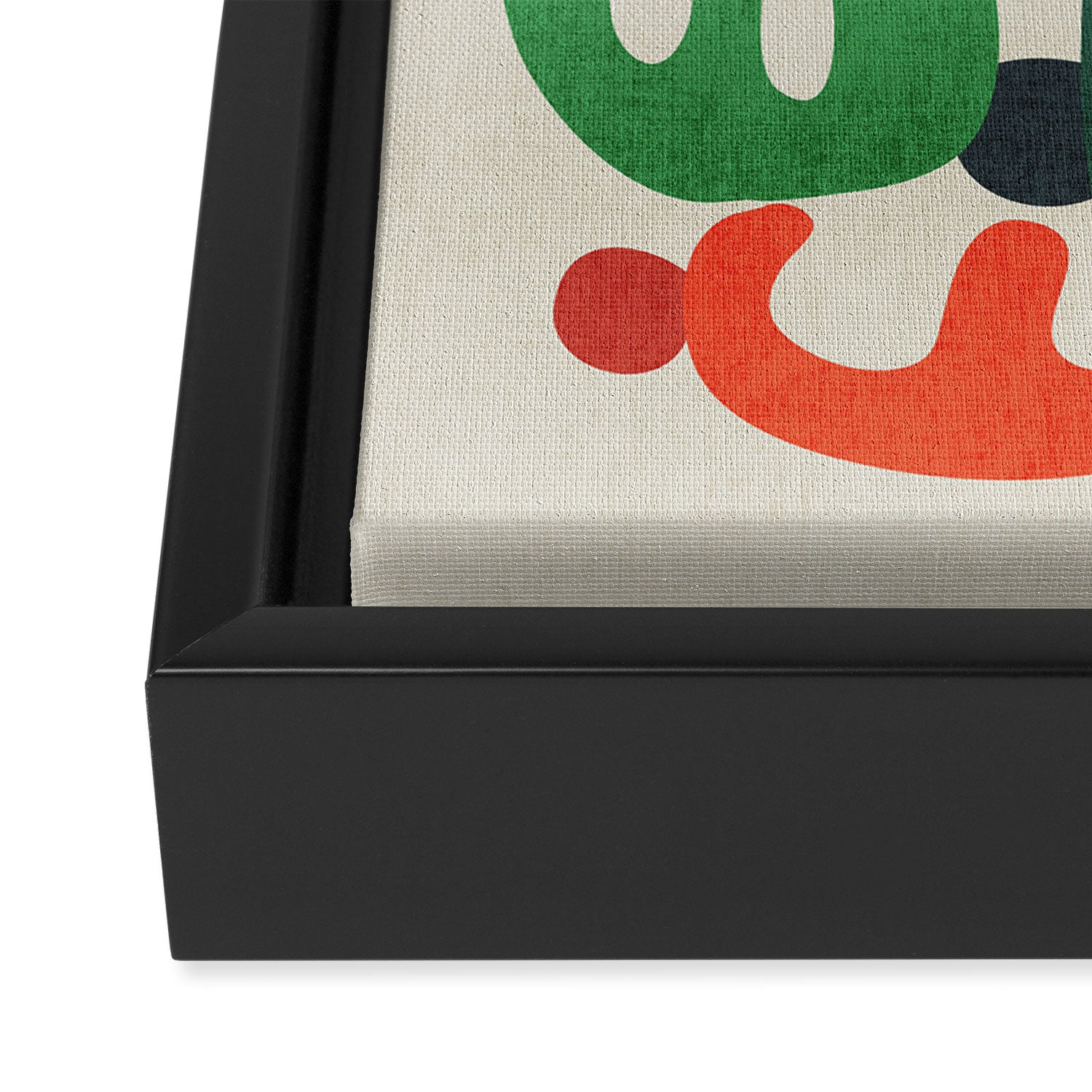 Cactus Framed Canvas Print Gallery Image 3