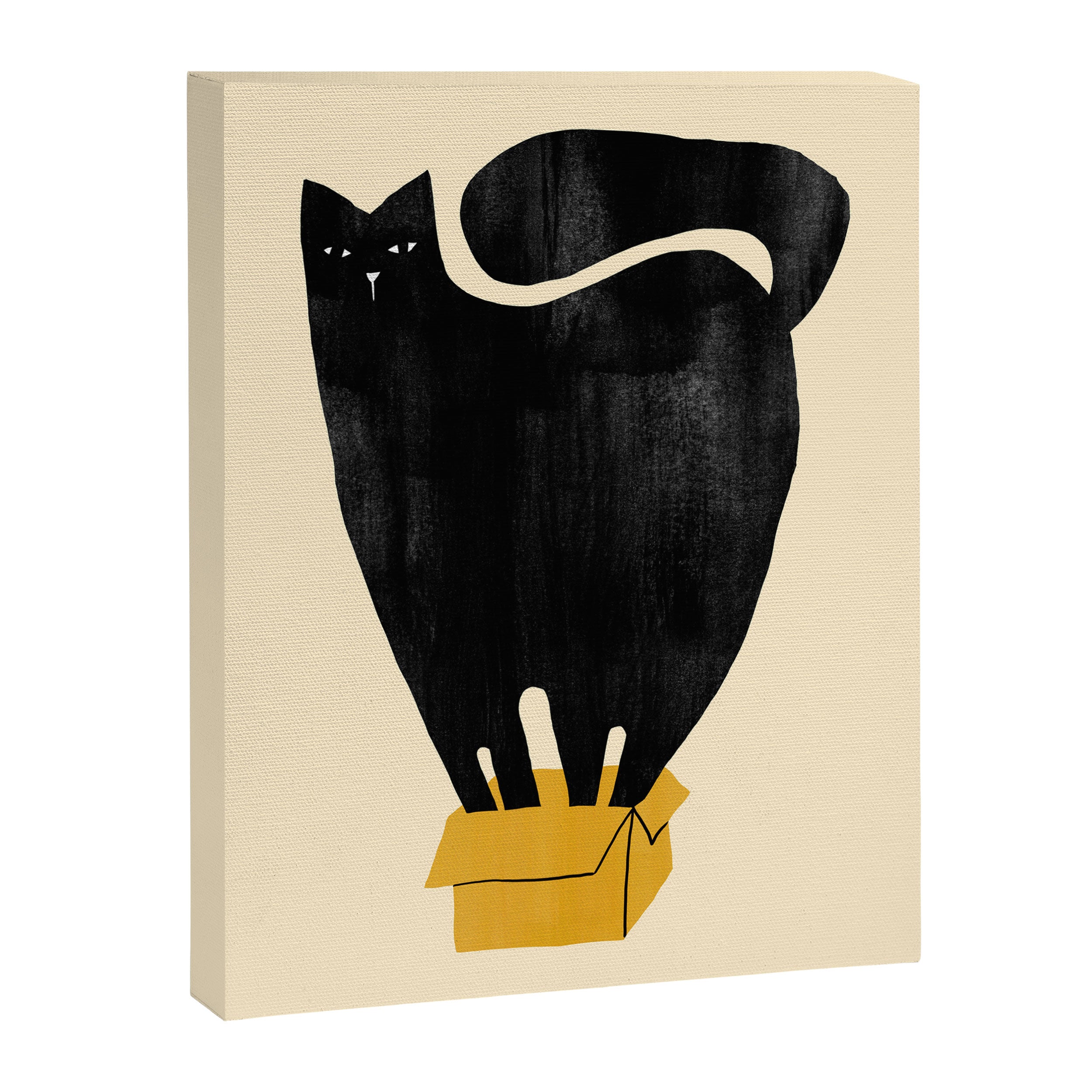 Cat in a box Canvas Print Gallery Image 6