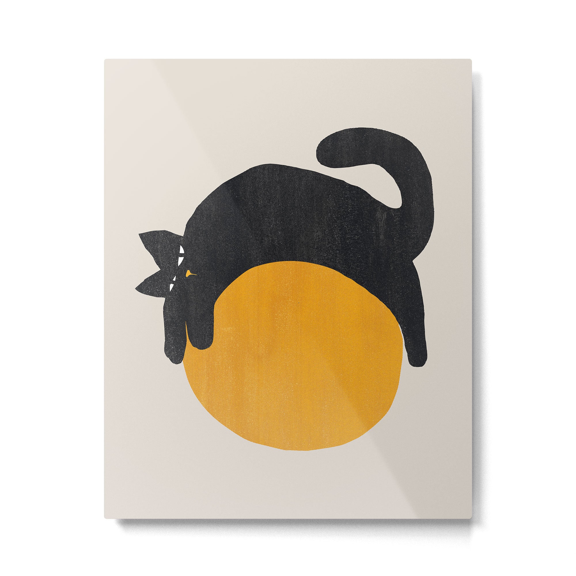 Cat with ball Metal Print Gallery Image 6