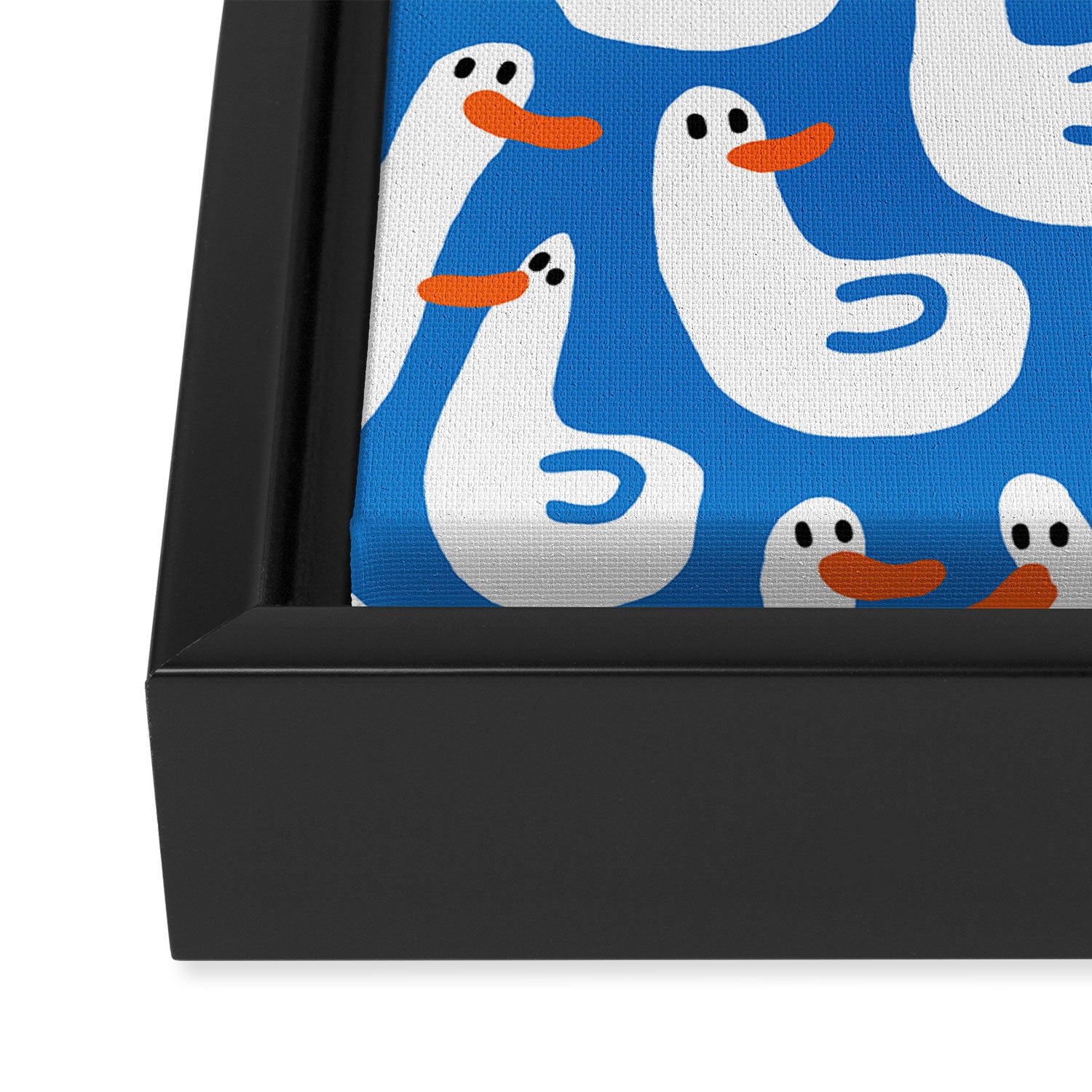 Duck duck duck Framed Canvas Print Gallery Image 3