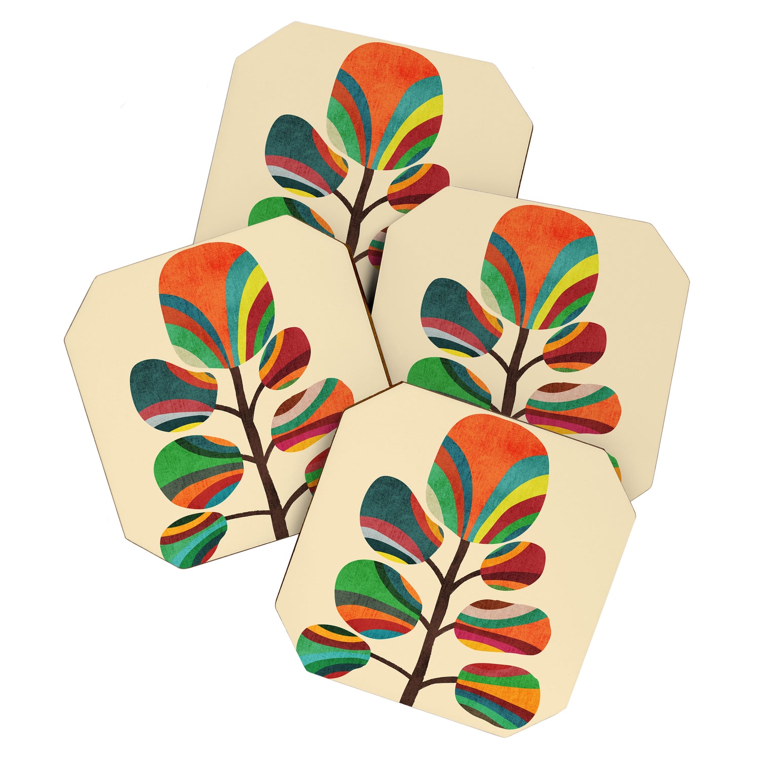 Exotica Coaster Gallery Image 1
