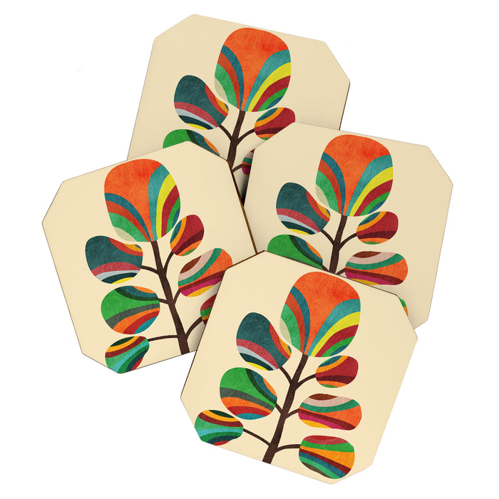 Exotica Coaster Gallery Image 1