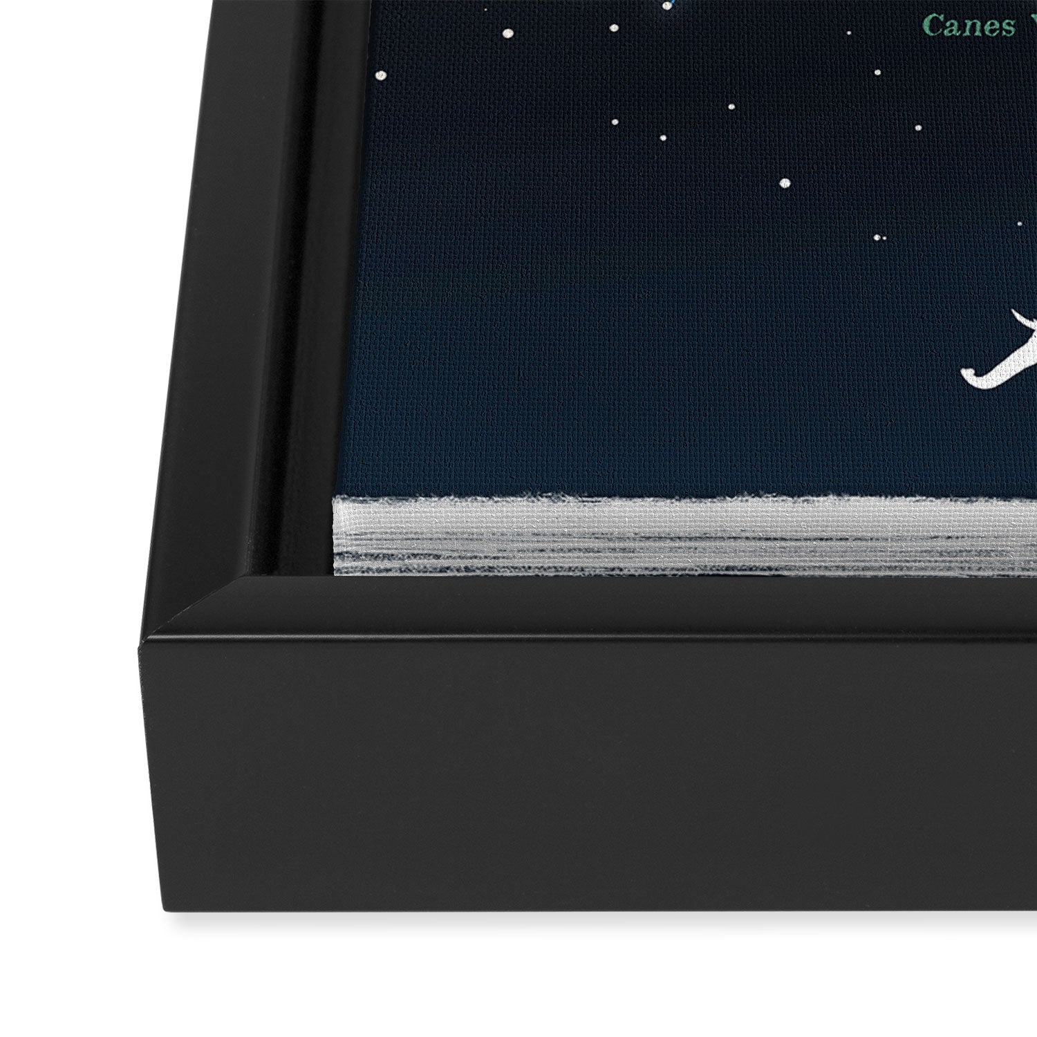 Falling star constellation Framed Canvas Print Gallery Image 3