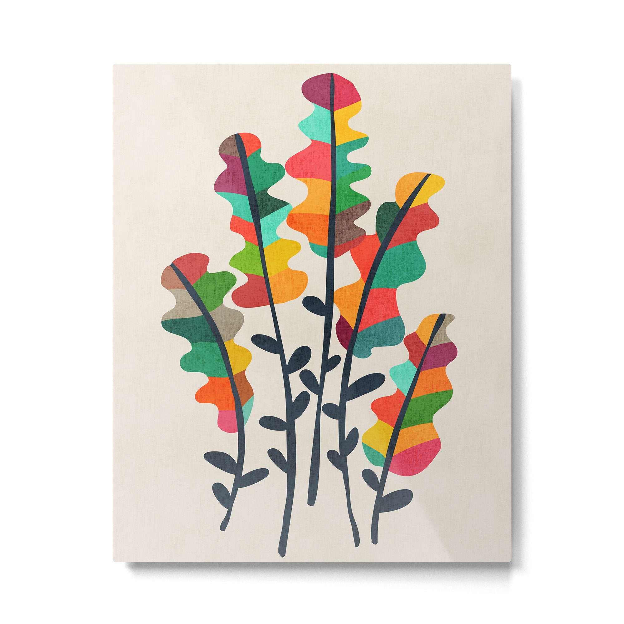 Flower from the meadow Metal Print Gallery Image 4
