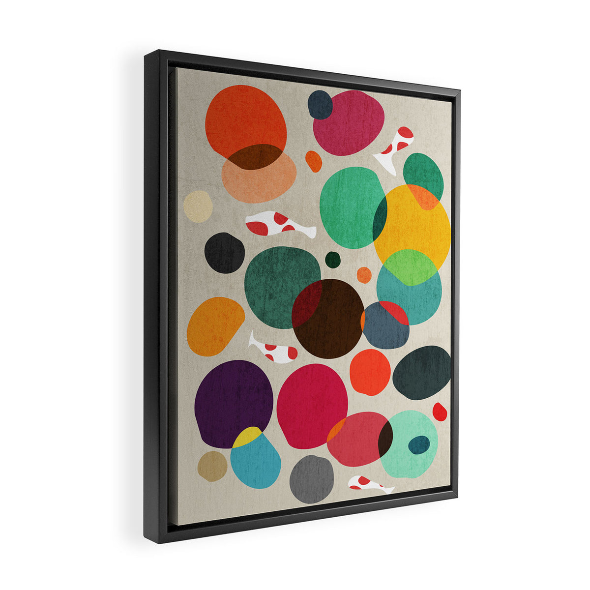 Lotus in koi pond Framed Canvas Print Gallery Image 2