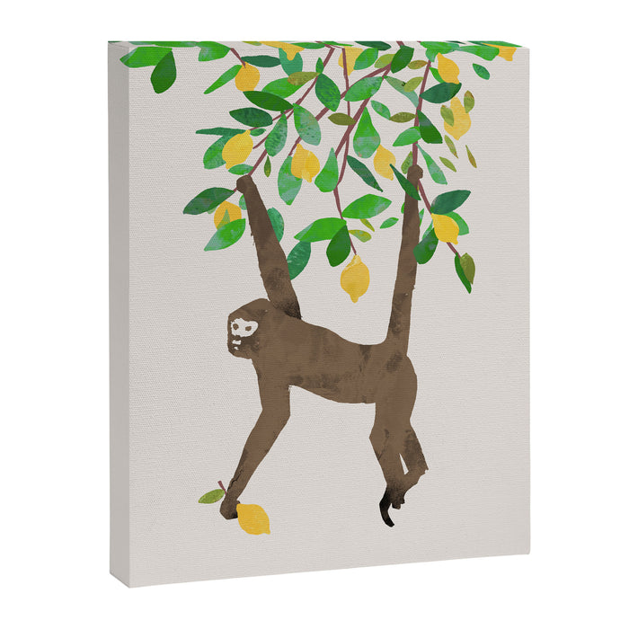 Monkey on lemon tree Canvas Print Gallery Image 1