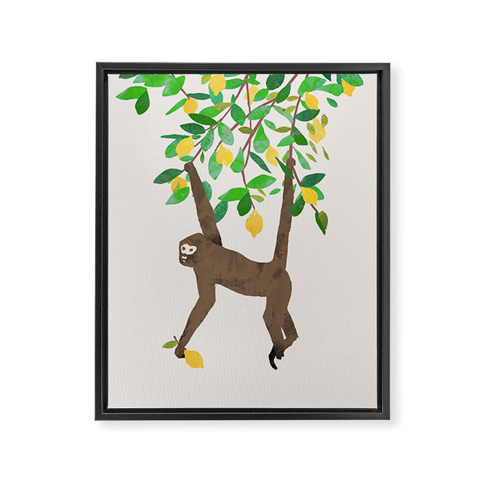 Monkey on lemon tree Framed Canvas Print Gallery Image 1