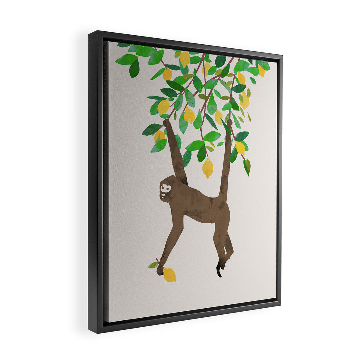 Monkey on lemon tree Framed Canvas Print Gallery Image 2