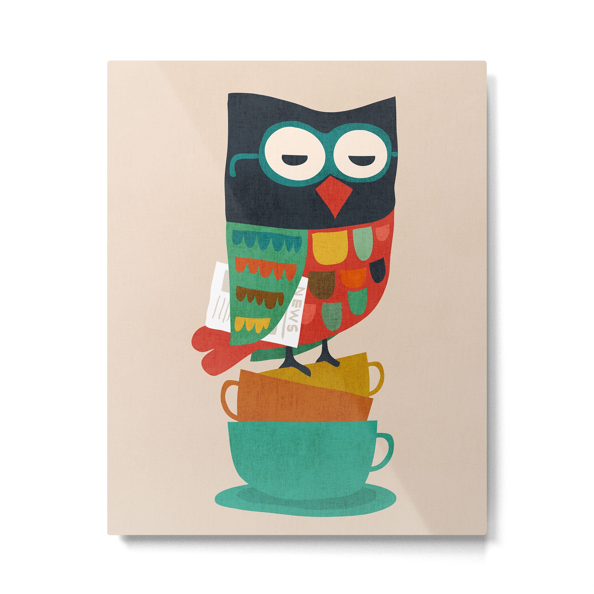 Morning Owl Metal Print Gallery Image 4