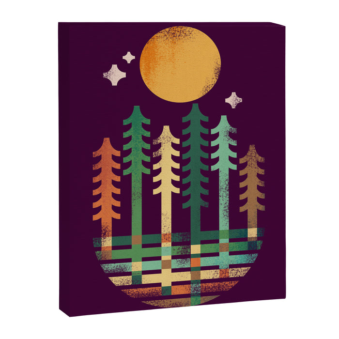 Night in the wood Canvas Print Gallery Image 1