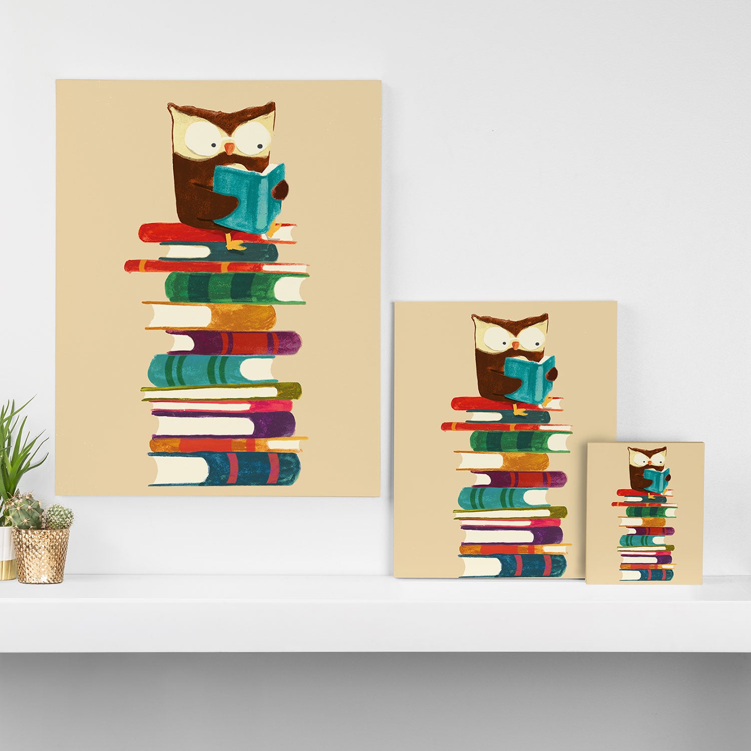 Owl Reading Rainbow Canvas Print Gallery Image 3