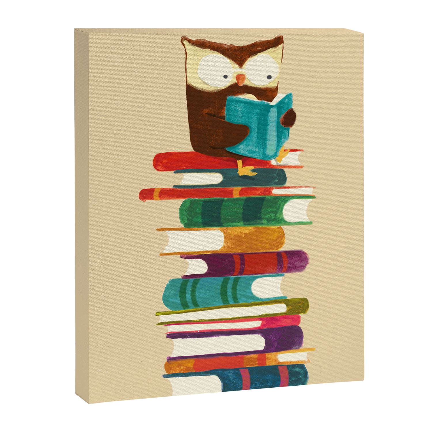 Owl Reading Rainbow Canvas Print Gallery Image 3