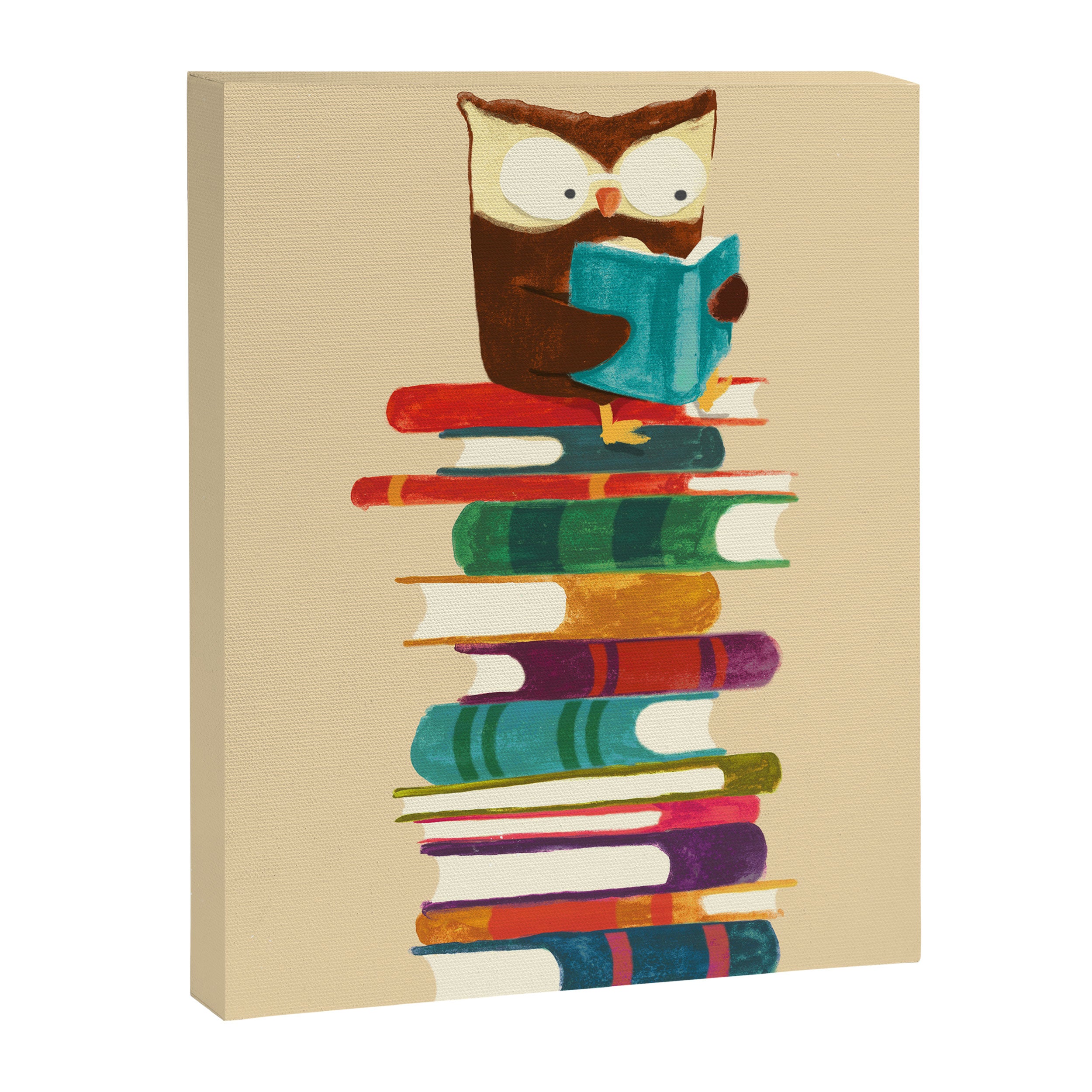 Owl Reading Rainbow Canvas Print Gallery Image 3