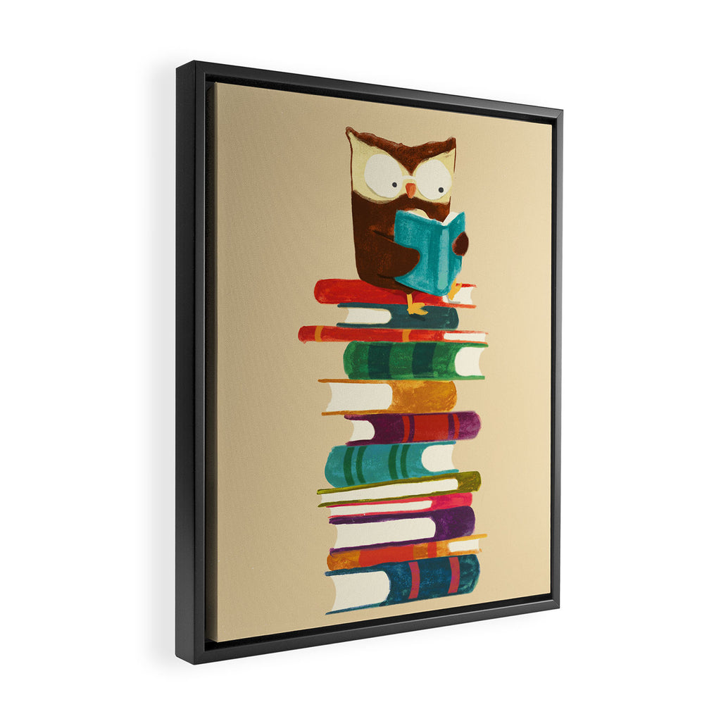 Owl Reading Rainbow Framed Canvas Print Gallery Image 2