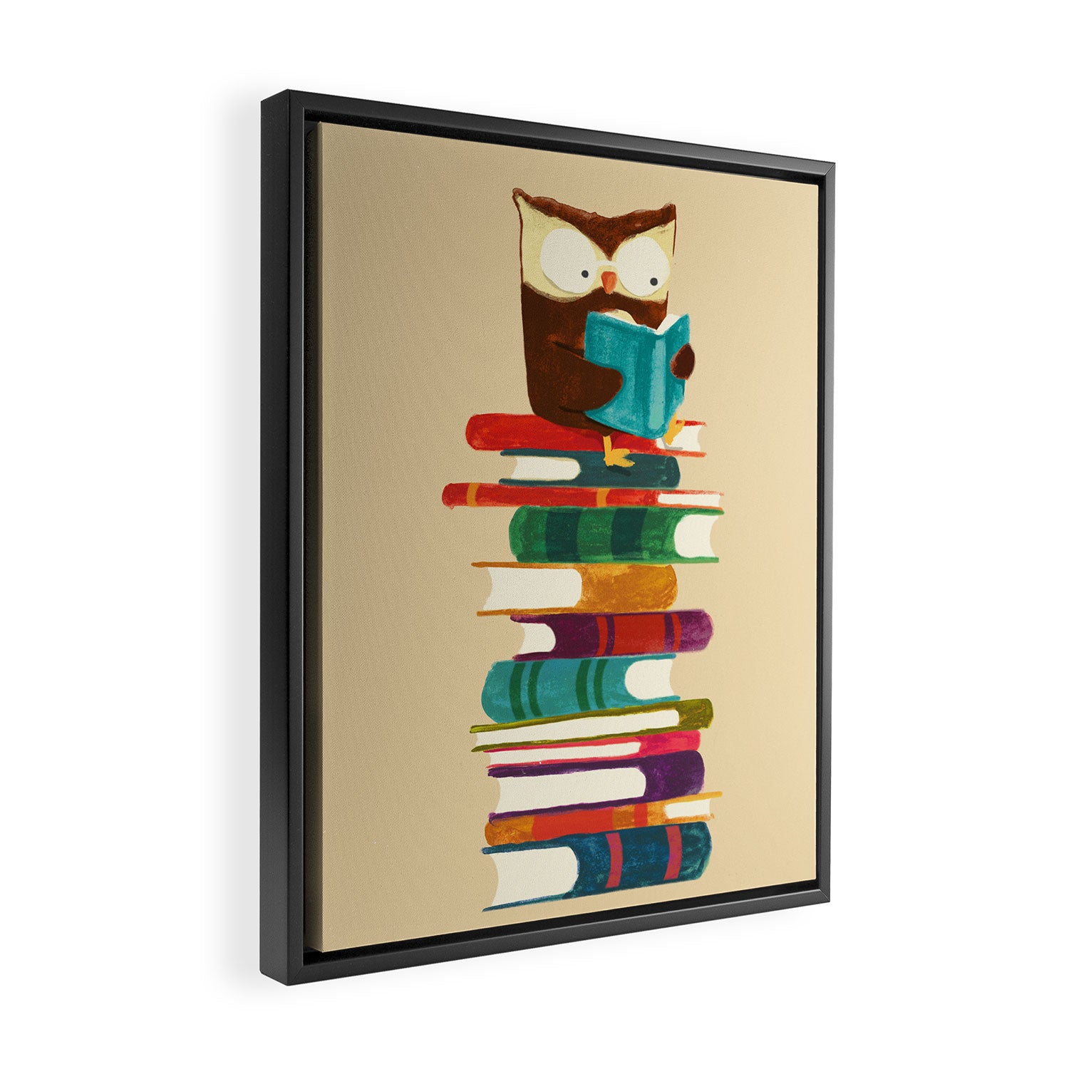 Owl Reading Rainbow Framed Canvas Print Gallery Image 2