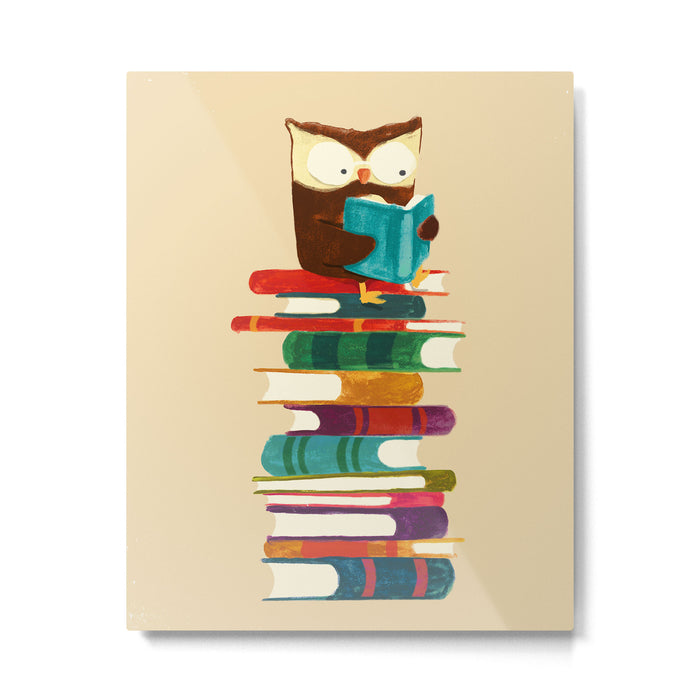 Owl Reading Rainbow Metal Print Gallery Image 1