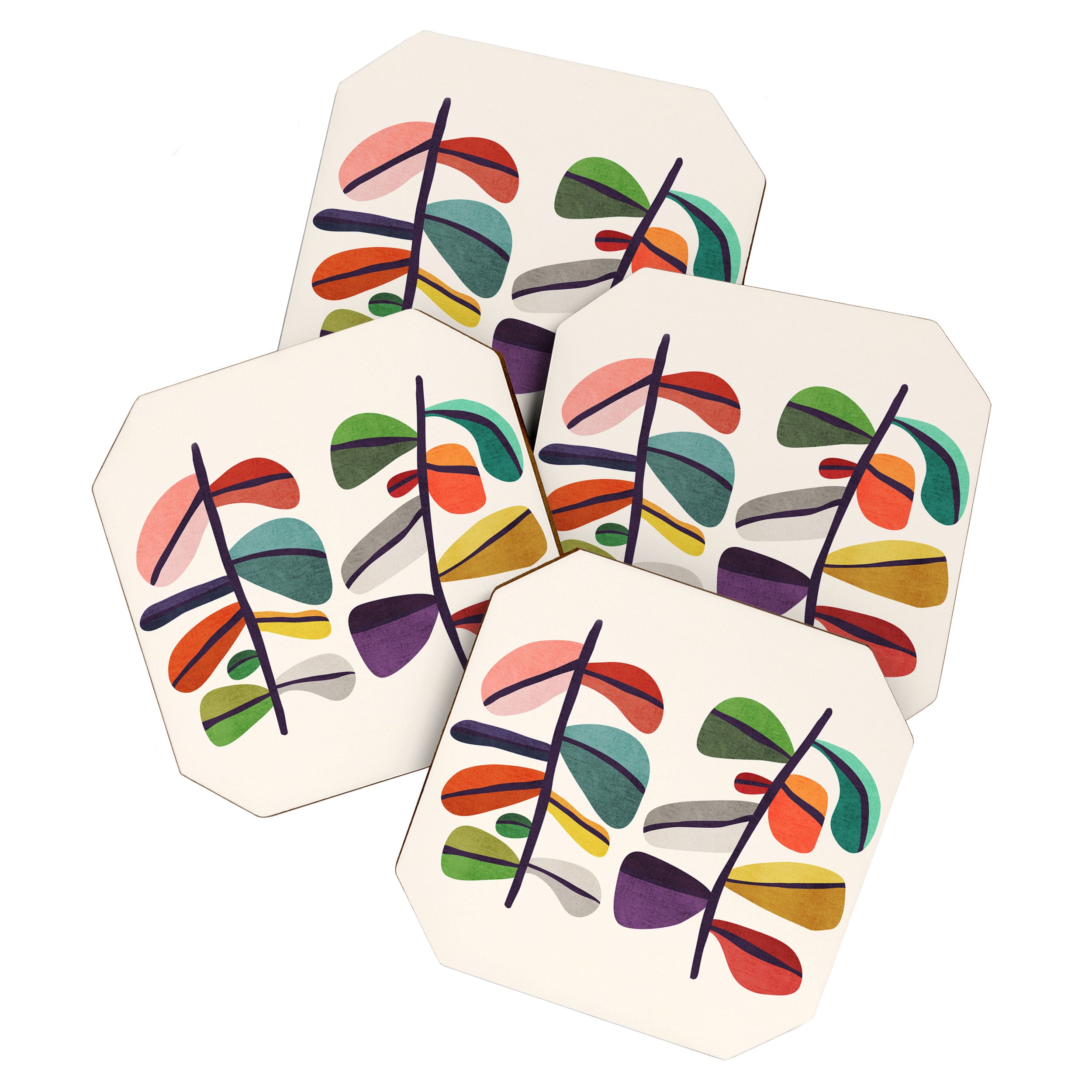 Plant specimens Coaster Gallery Image 1