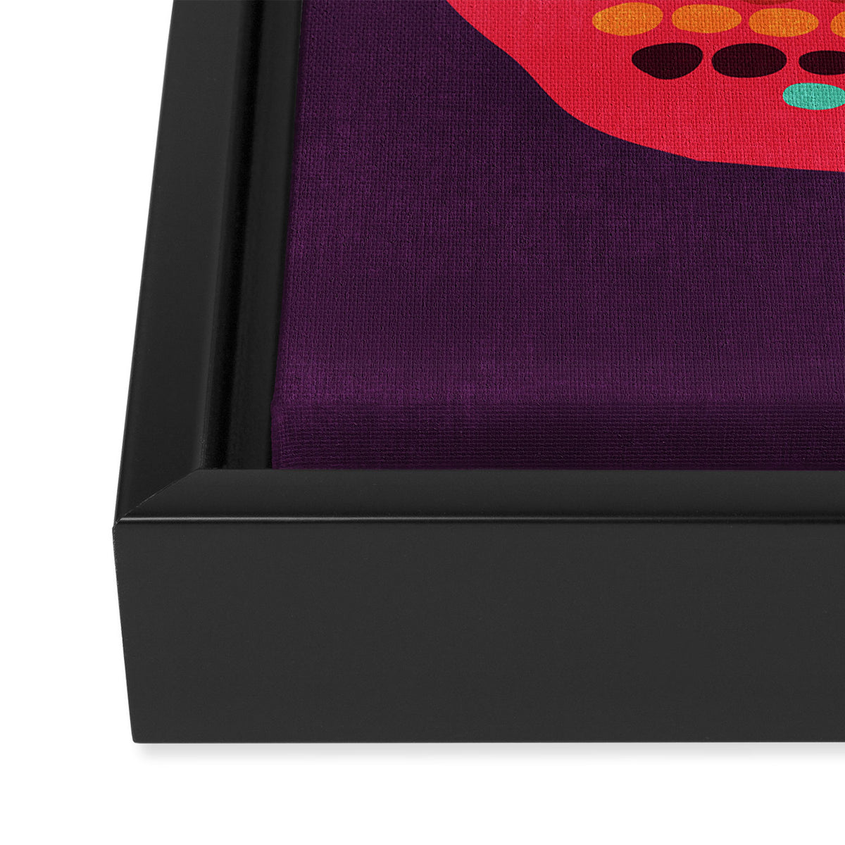 Pomegranate Framed Canvas Print Gallery Image 3