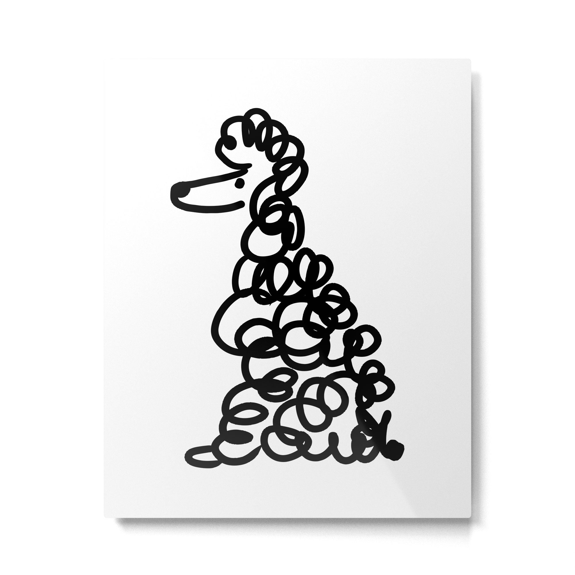 Poodle Metal Print Gallery Image 4
