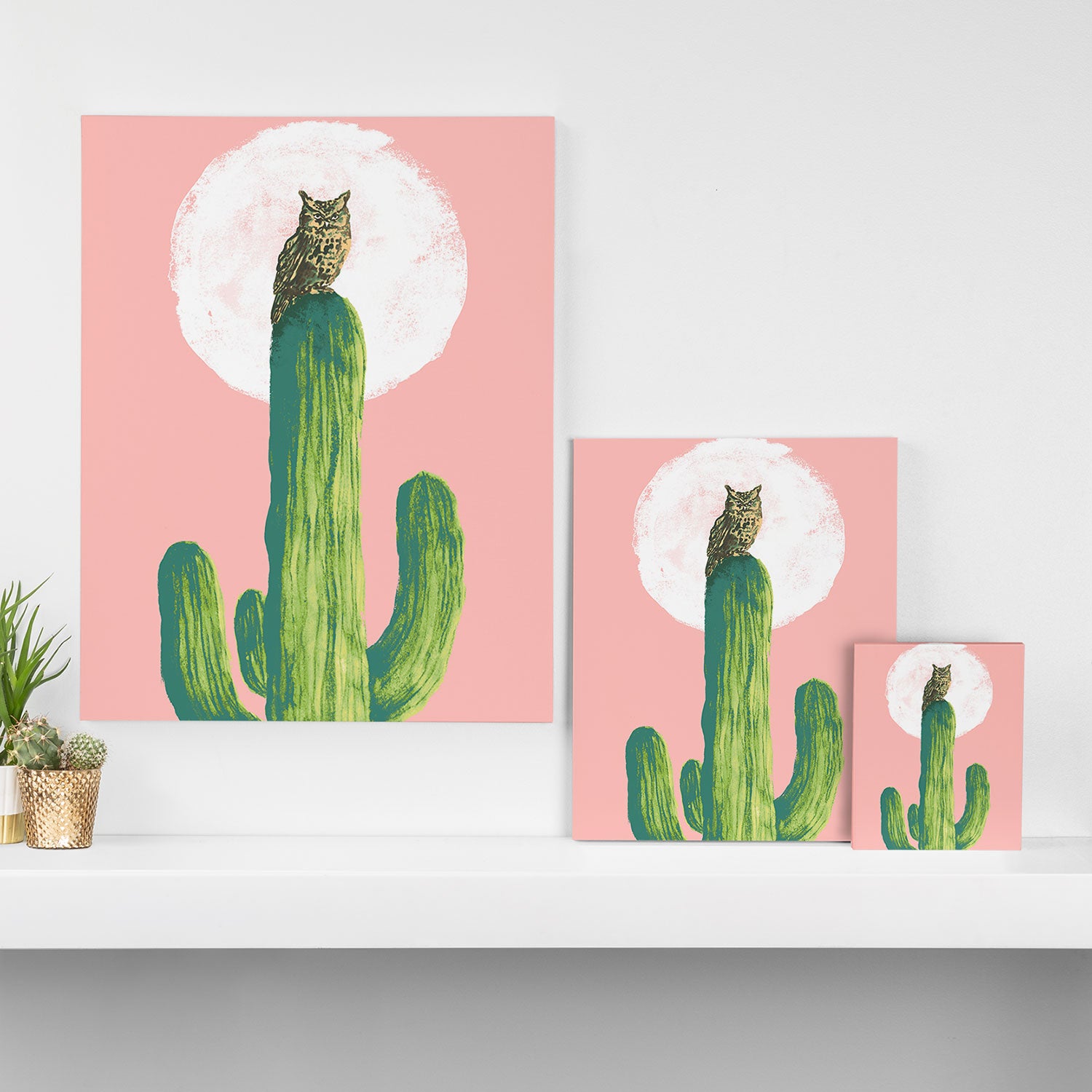 Quirky owl on saguaro cactus Canvas Print Gallery Image 3