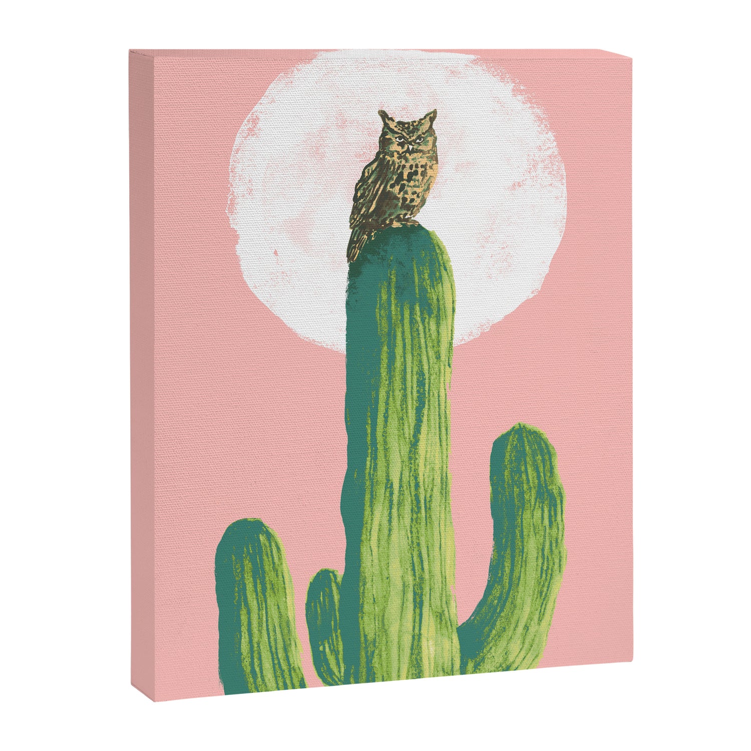Quirky owl on saguaro cactus Canvas Print Gallery Image 3