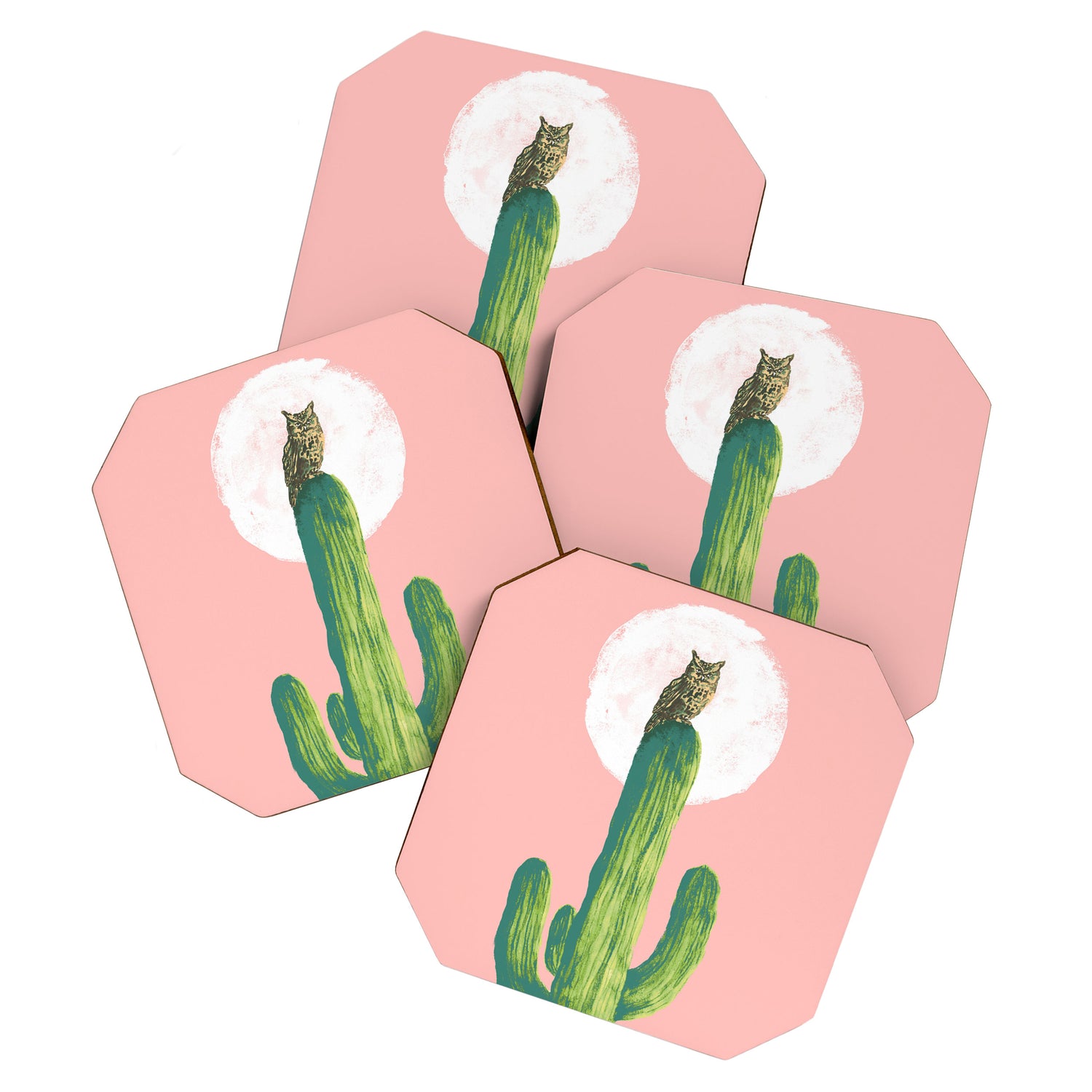 Quirky owl on saguaro cactus Coaster Gallery Image 1