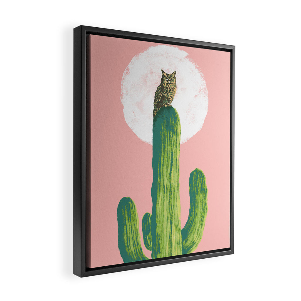 Quirky owl on saguaro cactus Framed Canvas Print Gallery Image 2
